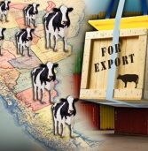 Hot picks from our Finantial Review