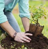 ¿Por qué necesita el grupo Benetton subsidios para plantar árboles en la Patagonia?