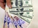 Creció la brecha entre el dólar oficial y las demás cotizaciones y genera expectativas de mayor devaluación e inflación