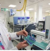 Derecho de propiedad: la Argentina mejoró en un ranking global, pero sigue rezagada