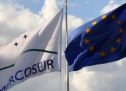 El acuerdo Mercosur-UE, la opinión de Libertad y Progreso en todos los medios