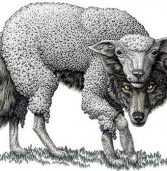 El velo de la democracia